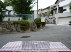 ȥå_ڥȥ_SP_1808W_G_760202500201_̿Τܥ_7cm30cm