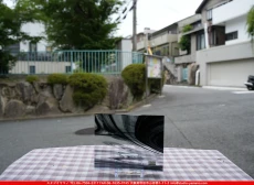 ȥå_ڥȥ_SP_400R_G_760202500203_̿Τܥ_15cm20cm