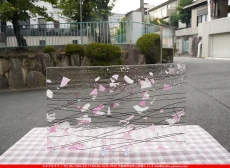 ֥륶_BU_4115-0000_BU_E_719202500028_̿1/2ܥ_25cm22cm