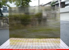 �������ޡ���_W_262-LL DR_B_707202500124_�̿���1/4�����ܥ�����_20cm��26cm