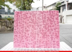 �桼����_JY_10-903_N_746202500001_�̿���1/4�����ܥ�����_18cm��23cm