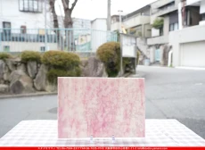 ����ܥ���_UR_UN-70_H_701202600006_�̿������Τ����ܥ�����_20cm��30cm
