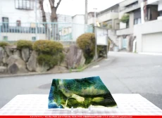 ����ܥ���_UR_50-86_E_701202600010_�̿������Τ����ܥ�����_12cm��20cm