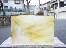 �䥫���ˡ�_UG_1025-SP_C_702202600009_�̿���1/2�����ܥ�����_30cm��22cm