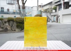 �䥫���ˡ�_UG_IR1025-HS_B_702202600010_�̿������Τ����ܥ�����_30cm��22cm
