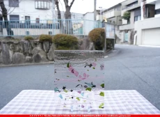 �֥륶��_BU_4128-0000_BU_G1_719202600002_�̿������Τ����ܥ�����_25cm��22cm