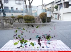 �֥륶��_BU_4128-0000_BU_G1_719202600003_�̿���1/2�����ܥ�����_25cm��22cm