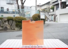 �֥륶��_BU_0305-0030_BUF_G8_719202600005_�̿������Τ����ܥ�����_25cm��22cm