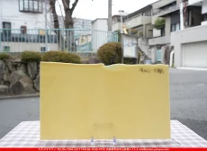 �֥륶��_BU_0137-0030_BUF_B_719202600010_�̿���1/2�����ܥ�����_25cm��22cm