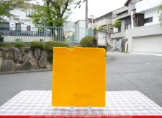 �֥륶��_BU_0320-0030_BUF_C_719202600015_�̿������Τ����ܥ�����_25cm��22cm