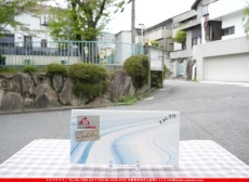 �����ȥ�å�_���ڥ��ȥ��_SP_OA3355S_G_760202600030_�̿������Τ����ܥ�����_15cm��30cm