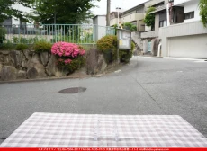�����ȥ�å�_���ڥ��ȥ��_SP_100A_G_760202600041_�̿������Τ����ܥ�����_30cm��20cm