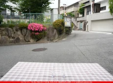 �����ȥ�å�_���ڥ��ȥ��_SP_100A_G_760202600042_�̿������Τ����ܥ�����_30cm��20cm