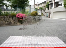 �����ȥ�å�_���ڥ��ȥ��_SP_100BW_F_760202600043_�̿������Τ����ܥ�����_30cm��25cm