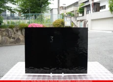 �����ȥ�å�_���ڥ��ȥ��_SP_1009W_G_760202600063_�̿���1/2�����ܥ�����_30cm��20cm