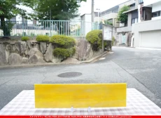 �����ȥ�å�_���ڥ��ȥ��_SP_3671S_H_760202600197_�̿������Τ����ܥ�����_10cm��40cm