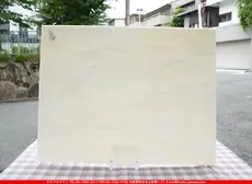 �������ޡ���_W_325-D DR_B_707202600068_�̿���1/4�����ܥ�����_20cm��26cm
