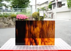 �������ޡ���_W_199-LL DR_B_707202600074_�̿���1/2�����ܥ�����_26cm��20cm