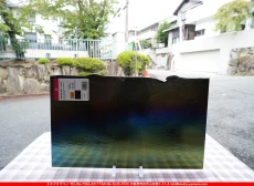 �֥륶��_BU_0100-0051_BUT_C51_719202600035_�̿���1/2�����ܥ�����_25cm��22cm