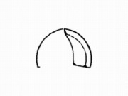 ���ץ⡼���_��ǥ�_G195P_G19.5 Globe 1/6 Sectional Lamp Form_19.5�����