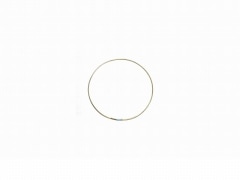 ���_���ǥå���������_RM10_ľ��:10inch_����:5mm