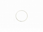 _ǥå_RM10_ľ:10inch_:5mm