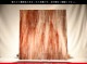 ������_K_1076P_D_734202200321_�̿���1/4�����ܥ�����_22cm��20cm