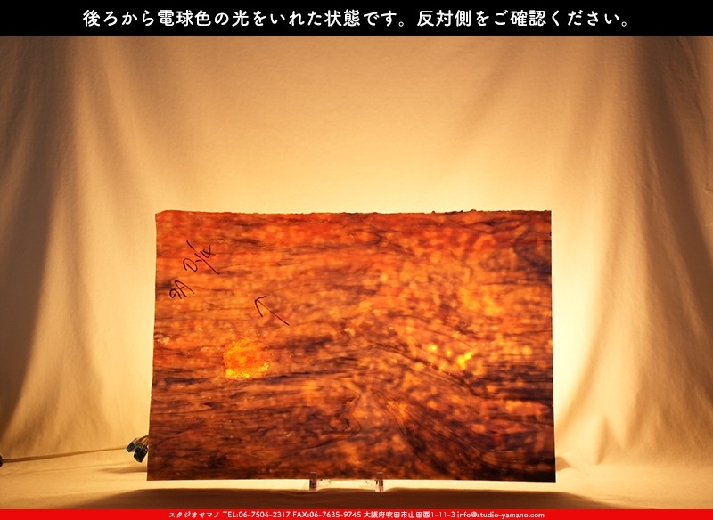 �䥫���ˡ�_UG_3307-RG_E_702202300060_�̿���1/2�����ܥ�����_30cm��22cm