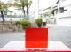 ������_K_257LL G_D_734202300262_�̿������Τ����ܥ�����_21cm��23cm