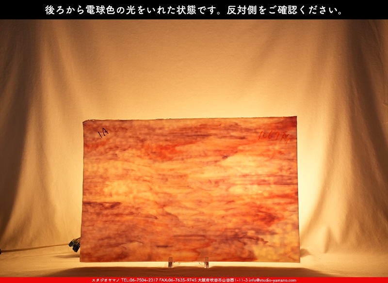 �䥫���ˡ�_UG_1067-RG_H_702202300061_�̿���1/2�����ܥ�����_30cm��22cm