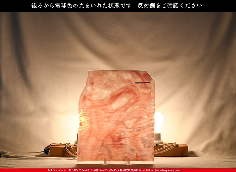 �䥫���ˡ�_UG_1007-RGR_H_702202200032_�̿������Τ����ܥ�����_30cm��25cm