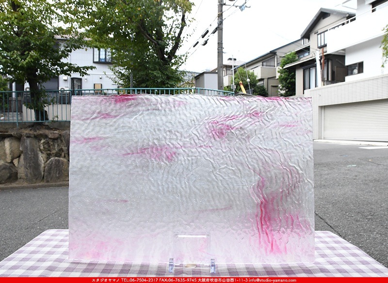 �䥫���ˡ�_UG_1007-SPR_H_702202200136_�̿���1/2�����ܥ�����_30cm��22cm