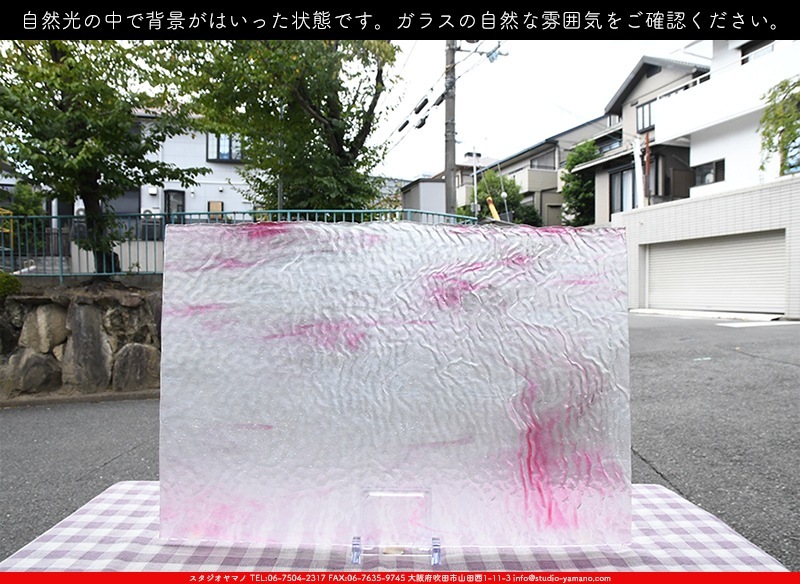 �䥫���ˡ�_UG_1007-SPR_H_702202200136_�̿���1/2�����ܥ�����_30cm��22cm