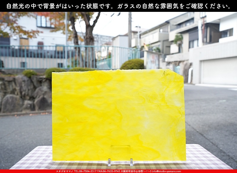 ヤカゲニー_UG_5000-SP_E_702202300069_写真の1/2が基本サイズ_30cm