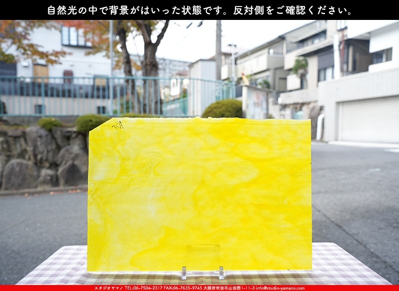 ヤカゲニー_UG_5000-SP_E_702202300069_写真の1/2が基本サイズ_30cm