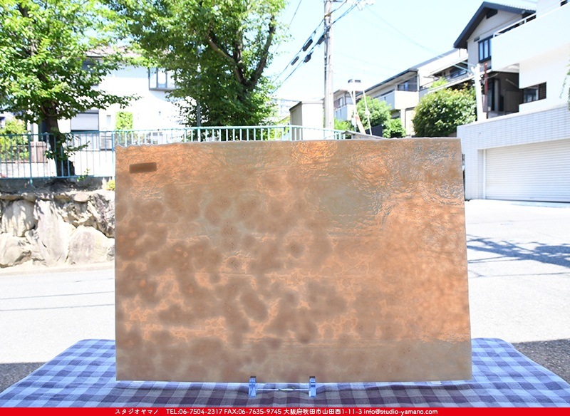 �䥫���ˡ�_UG_9050-HS_A_702202200089_�̿���1/2�����ܥ�����_30cm��22cm