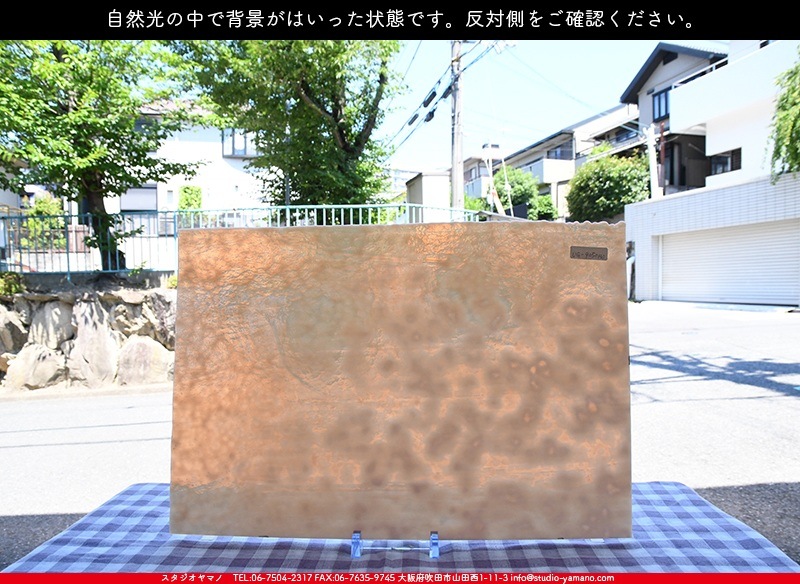 �䥫���ˡ�_UG_9050-HS_A_702202200089_�̿���1/2�����ܥ�����_30cm��22cm