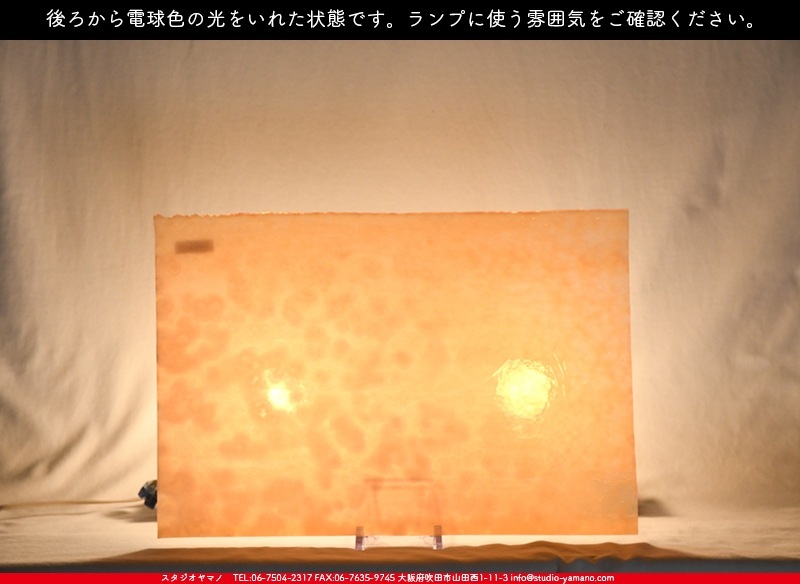 �䥫���ˡ�_UG_9050-HS_A_702202200089_�̿���1/2�����ܥ�����_30cm��22cm