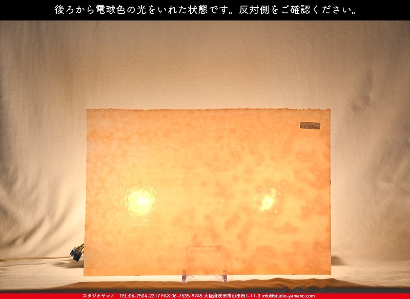 �䥫���ˡ�_UG_9050-HS_A_702202200089_�̿���1/2�����ܥ�����_30cm��22cm