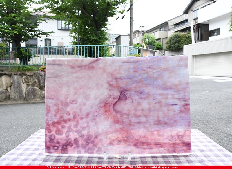 ヤカゲニー_UG_1067-RG_H_702202200042_写真の1/2が基本サイズ_30cm