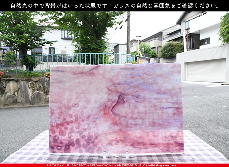 ヤカゲニー_UG_1067-RG_H_702202200042_写真の1/2が基本サイズ_30cm