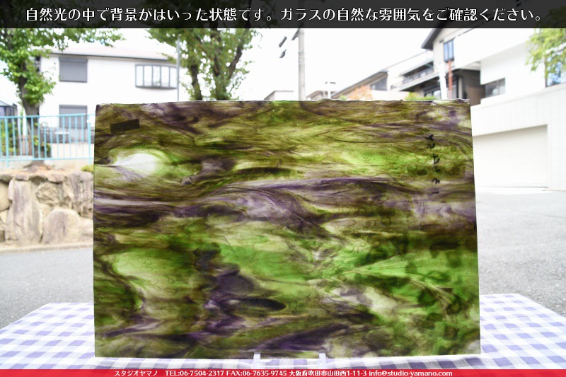 ヤカゲニー_UG_1364-SP_C_702201800141_写真の1/2が基本サイズ_30cm