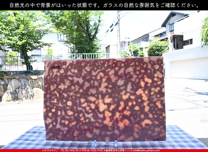 �䥫���ˡ�_UG_3007-RG_E_702202200094_�̿���1/2�����ܥ�����_30cm��22cm