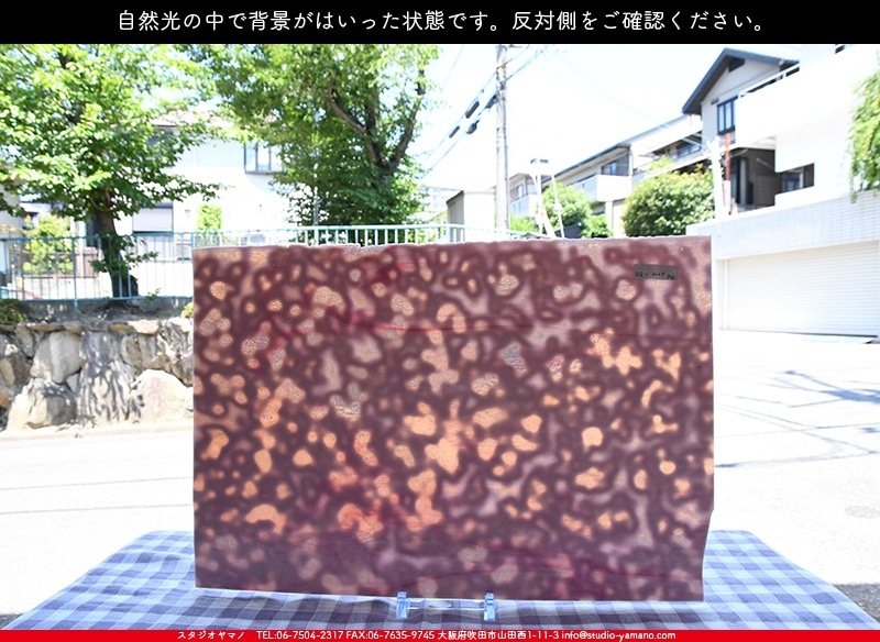 �䥫���ˡ�_UG_3007-RG_E_702202200094_�̿���1/2�����ܥ�����_30cm��22cm