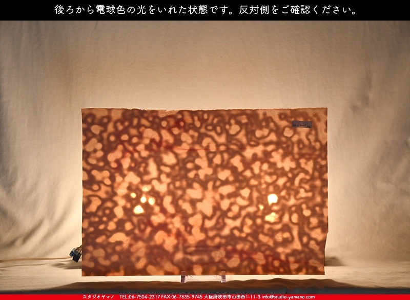 �䥫���ˡ�_UG_3007-RG_E_702202200094_�̿���1/2�����ܥ�����_30cm��22cm