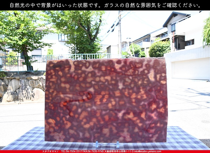 �䥫���ˡ�_UG_3007-RG_E_702202200095_�̿���1/2�����ܥ�����_30cm��22cm