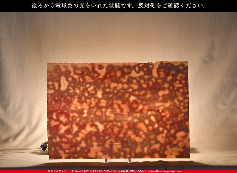 �䥫���ˡ�_UG_3007-RG_E_702202200095_�̿���1/2�����ܥ�����_30cm��22cm