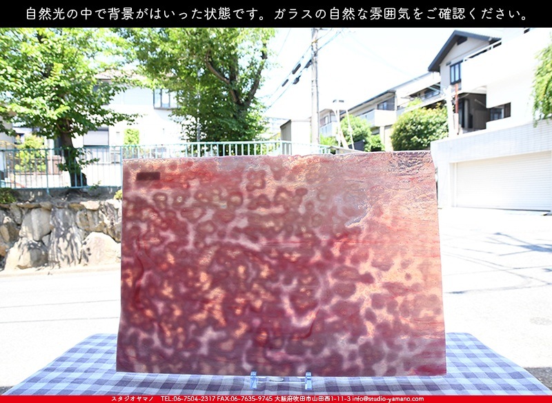 �䥫���ˡ�_UG_3007-RG_E_702202200096_�̿���1/2�����ܥ�����_30cm��22cm