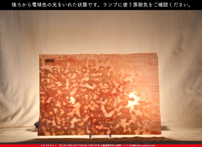 �䥫���ˡ�_UG_3007-RG_E_702202200096_�̿���1/2�����ܥ�����_30cm��22cm