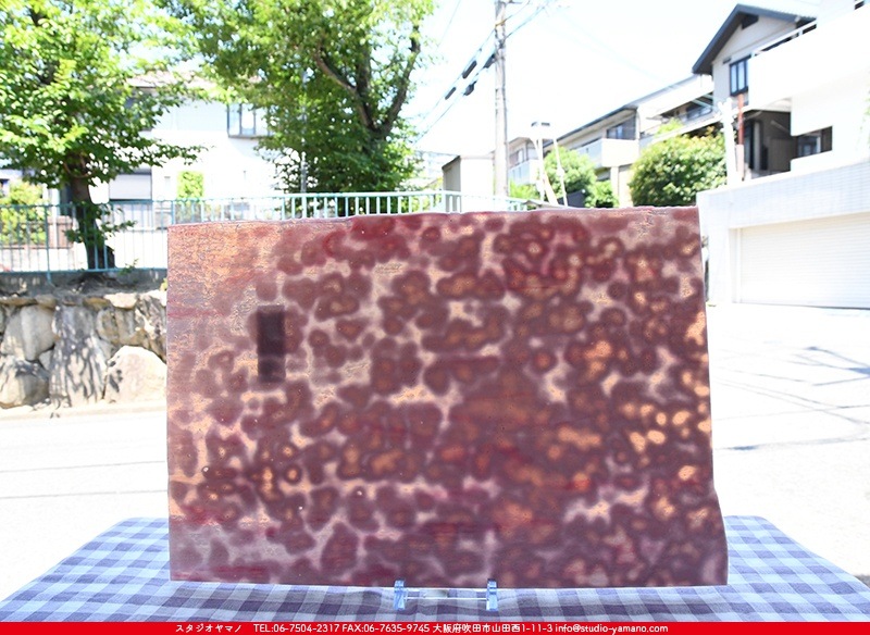 �䥫���ˡ�_UG_3007-RG_E_702202200097_�̿���1/2�����ܥ�����_30cm��22cm